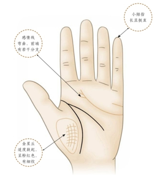 手相图解：能够获得幸福之爱的手相有哪些特征？