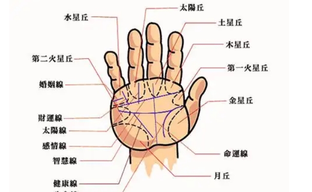 手相图解：如何通过手相来判断妻子是否强势?