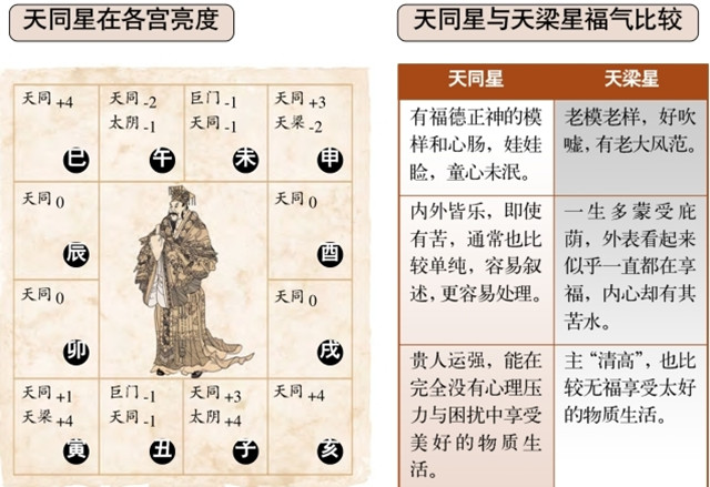 天同星坐身命宫、身宫的命运、容貌、性格推断