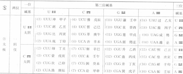 微观细胞的链旋：从微观细胞到人类演化的奥秘