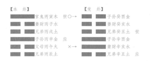 丑月辛卯目，占子痘症，得“大壮之乾”