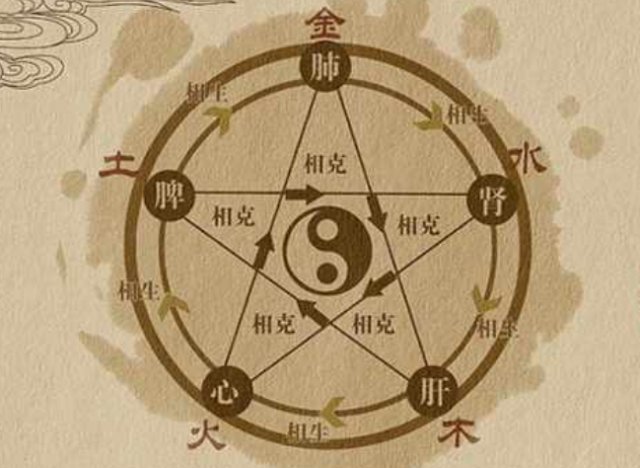 阴阳五行学说：什么是五行体质?
