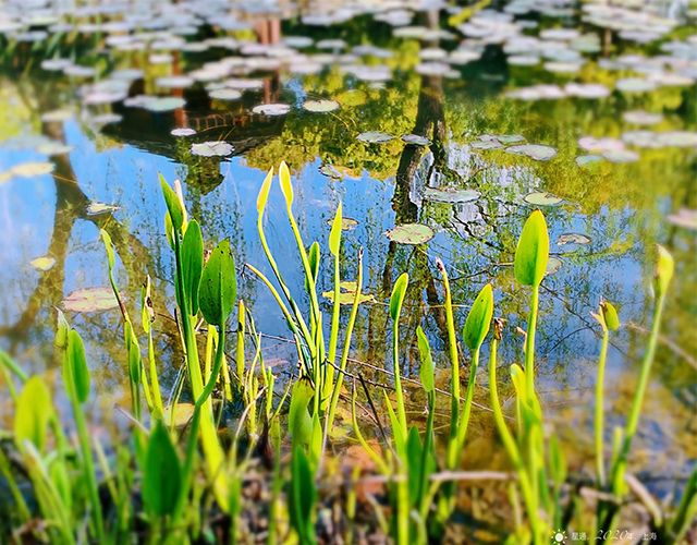 三夏癸水：癸水生于六月的八字喜忌分析，周易为你白话分析