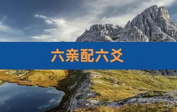 四柱命理学中的“六亲”，指的是我、父母、兄弟、姐妹、妻妾以及子孙