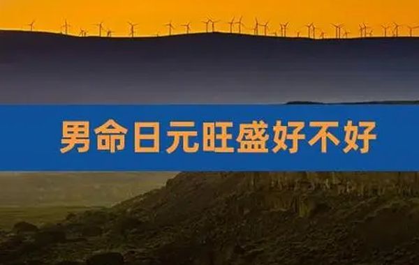 如果日元衰弱，难以胜任财官，就会反过来遭到财官的欺侮，所以主人一生会有重重忧患