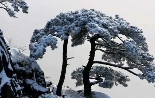 天元一字水为源，生于秋冬时节，主大贵，行大运只要遇到一位吉神，少年时期就会高居官位