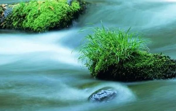 论十天干宜忌之壬水宜忌：壬水属阳水，是长流不息之水，能滋润世间万物，养育万物