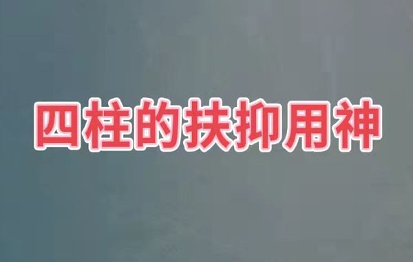 徐乐吾把用神分为五种：扶抑、病药、调候、专旺、通关