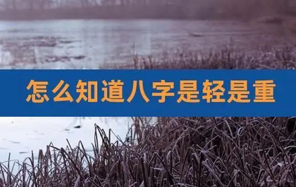 天干清透最好，而地支则根重最佳，如果天干不清，就为混杂;如果地支根轻，就为虚浮