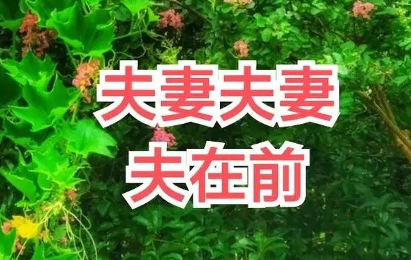 夫妻宫在四柱上表现为日支，在男性命局中，日支就是妻宫;在女性命局中，日支就是夫宫