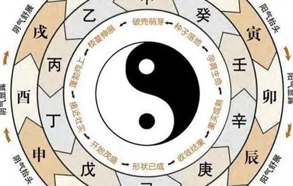 财星和伤官出现在四柱的天干上或者透干而出，日主生伤官，伤官生财星，主人富有