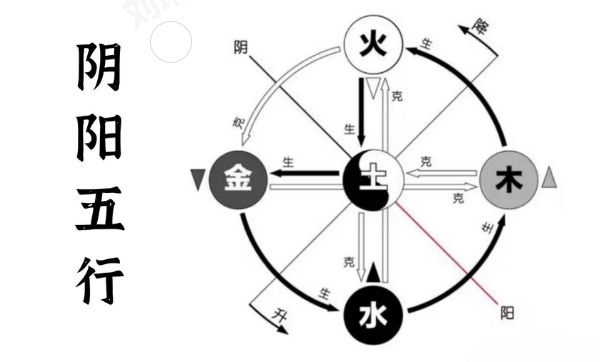 “木不受水者,血病”主要阐述命局中木不受水和木受水对身体的影响