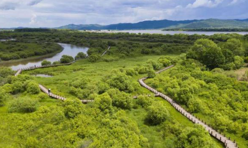 植物是大型的“吸尘器”，强大的“空调器”，有效的“消声器”，水土的“消毒器”